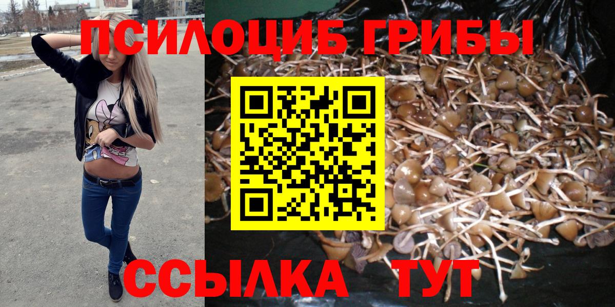 Псилоцибиновые грибы мухоморы Кувандык